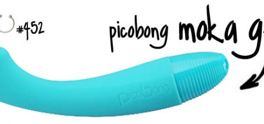Dit is een afbeelding van moka g vibe picobong review luna test
