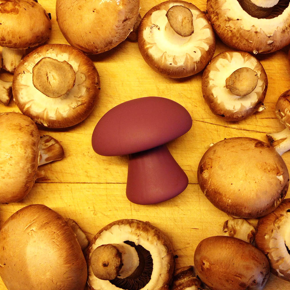 Dit is een afbeelding van mushroom massager review vibrator